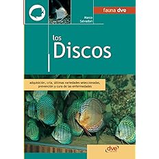 Los discos